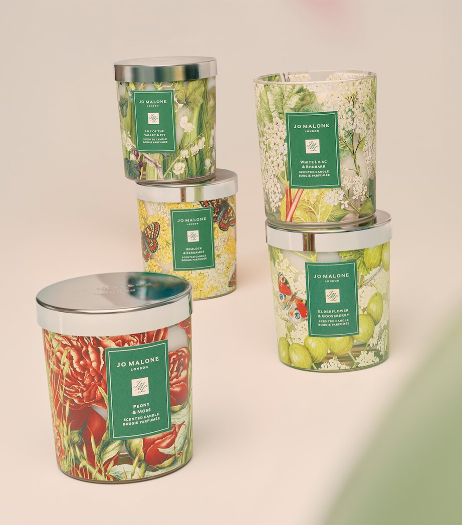 White Lilac & Rhubarb Charity Classic Candle (200g)