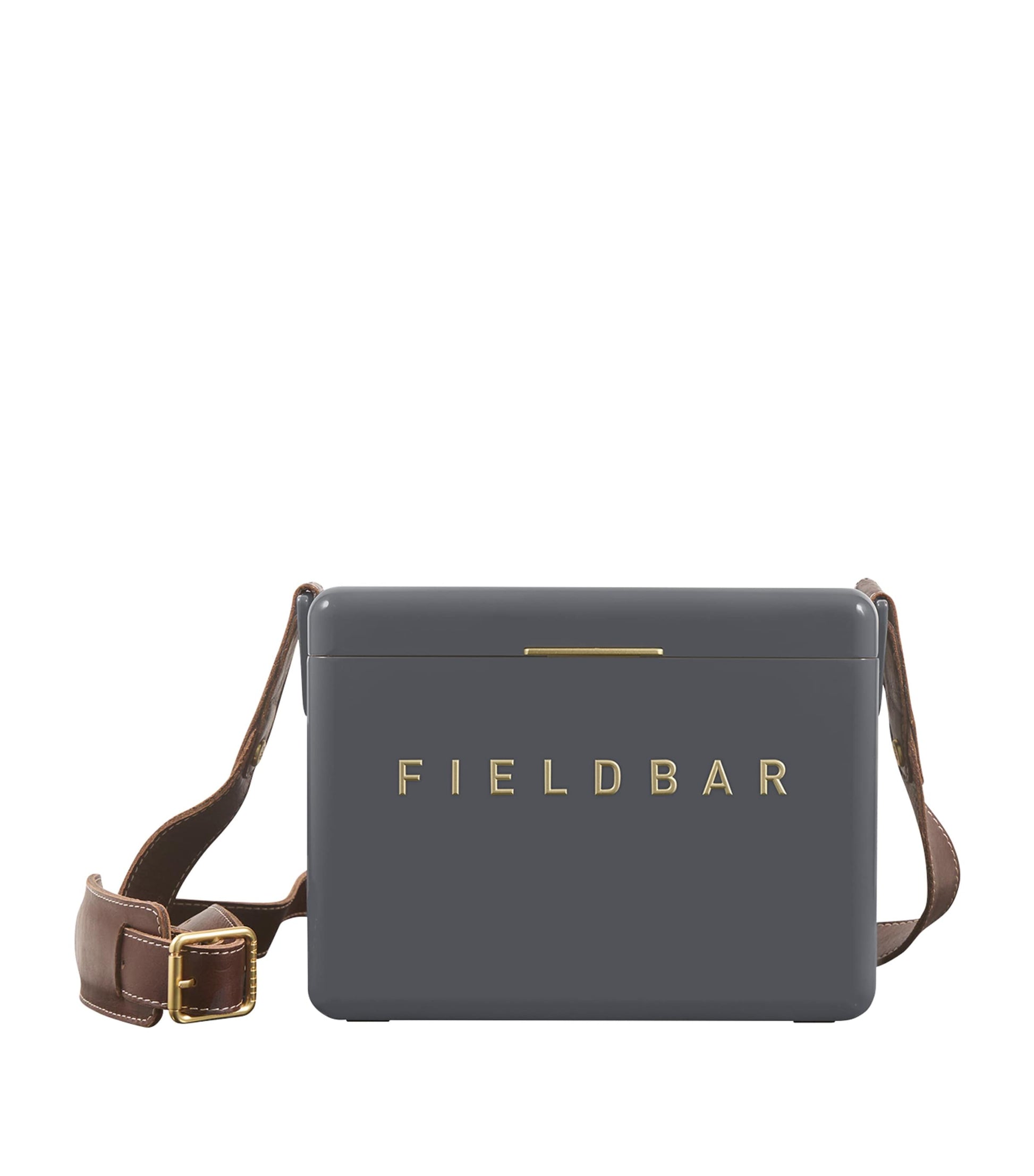 Mini Bar Cooler Box with Leather Sling (4L)