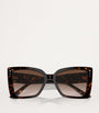 Brown Acetate JC5001B Sunglasses