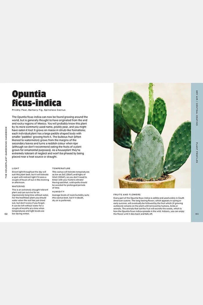 Houseplant Handbook by Maddie and Alice Bailey, English