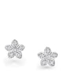 White Gold and Diamond Wild Flower Stud Earrings