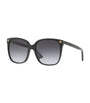 Black Cat Eye Sunglasses