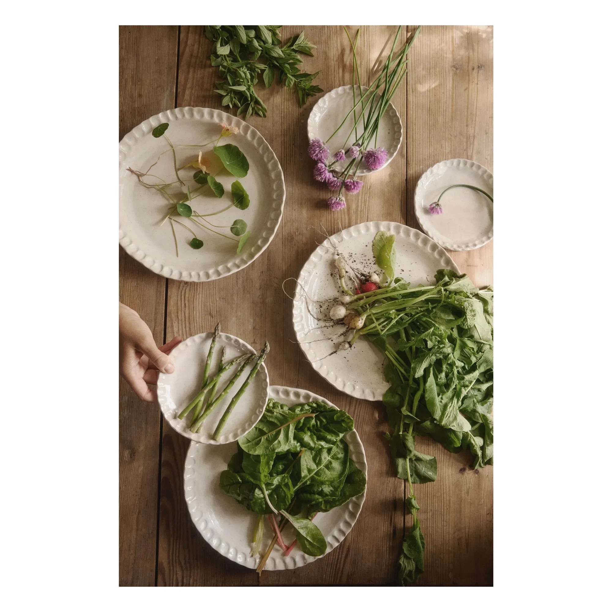 Olsson & Jensen - Florence dessert plates Ø24 cm - Set of 4 | Cream