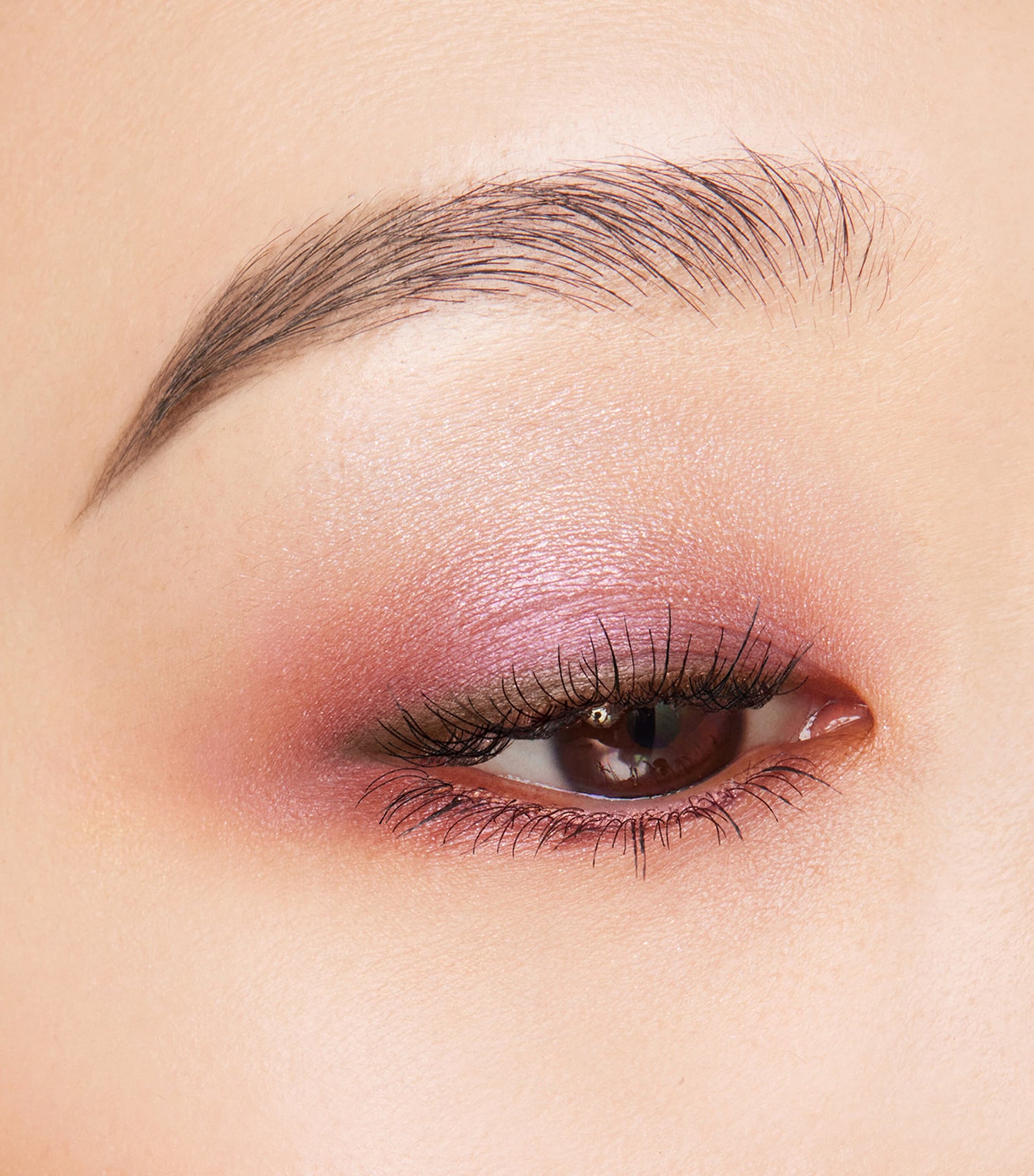 Signature Color Eyes Palette