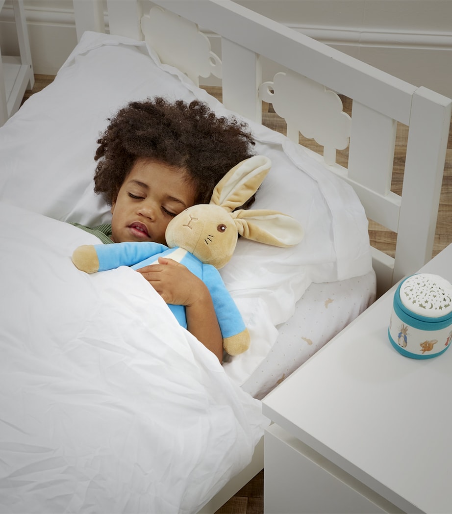 Peter Rabbit Bedtime Cuddles Set (36cm)