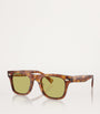 Brown Acetate BC4002S Sunglasses