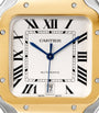 Stainless Steel and Yellow Gold Santos de Cartier Watch 39.8mm