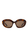 LOEWE Brown Acetate Dawn Oval Sunglasses