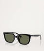 Ray-Ban Black RB4439D Sunglasses