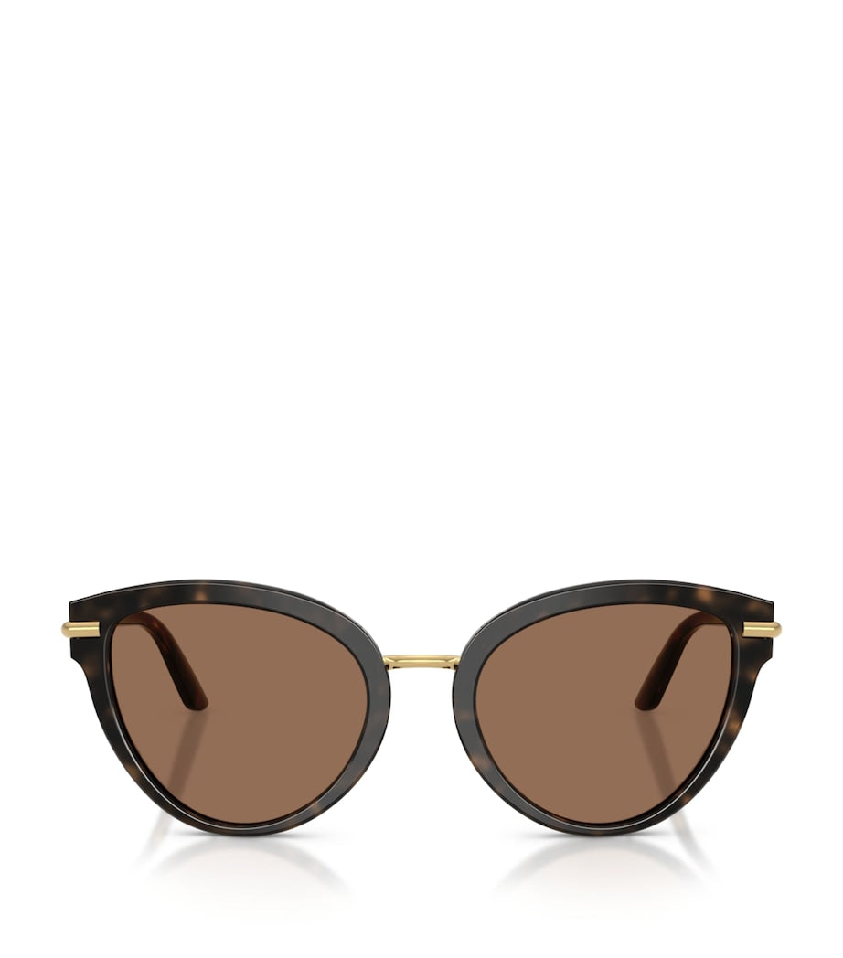 Brown Butterfly Sunglasses