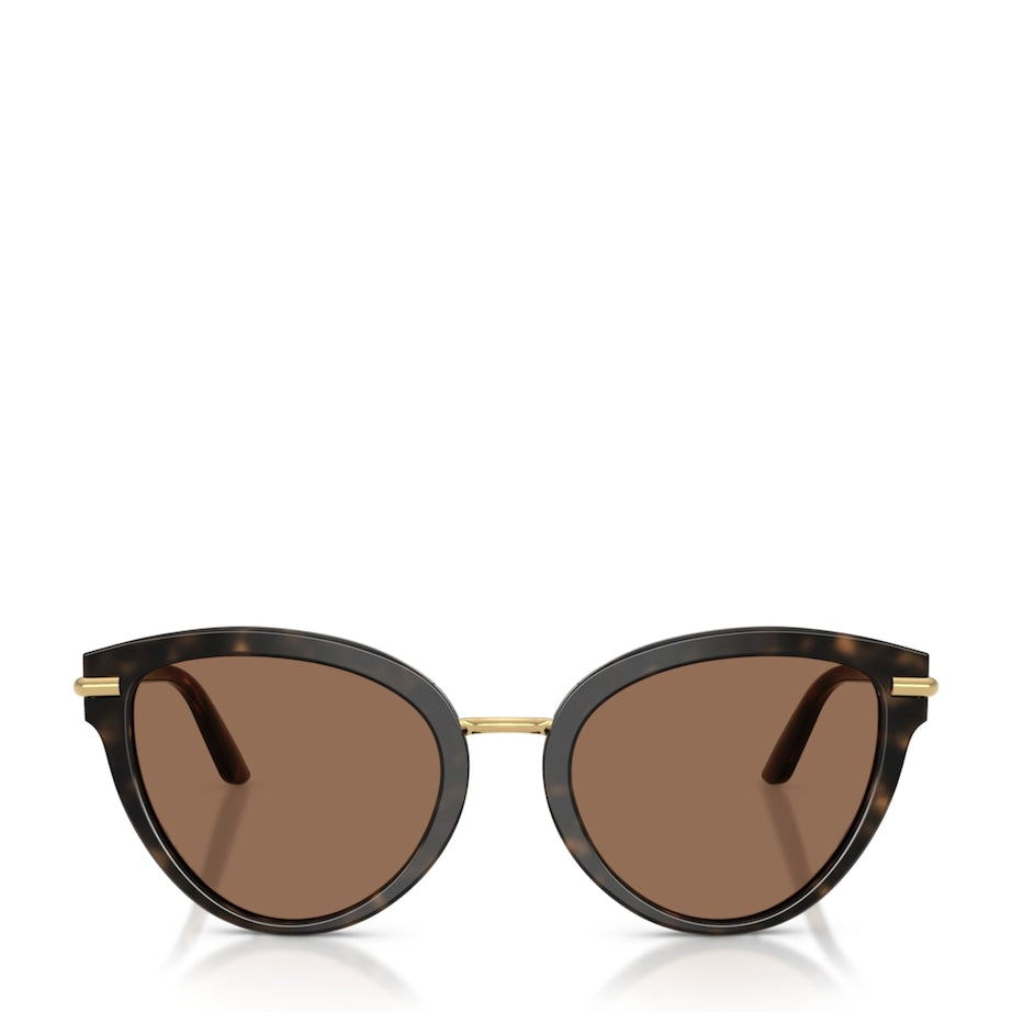 Brown Butterfly Sunglasses