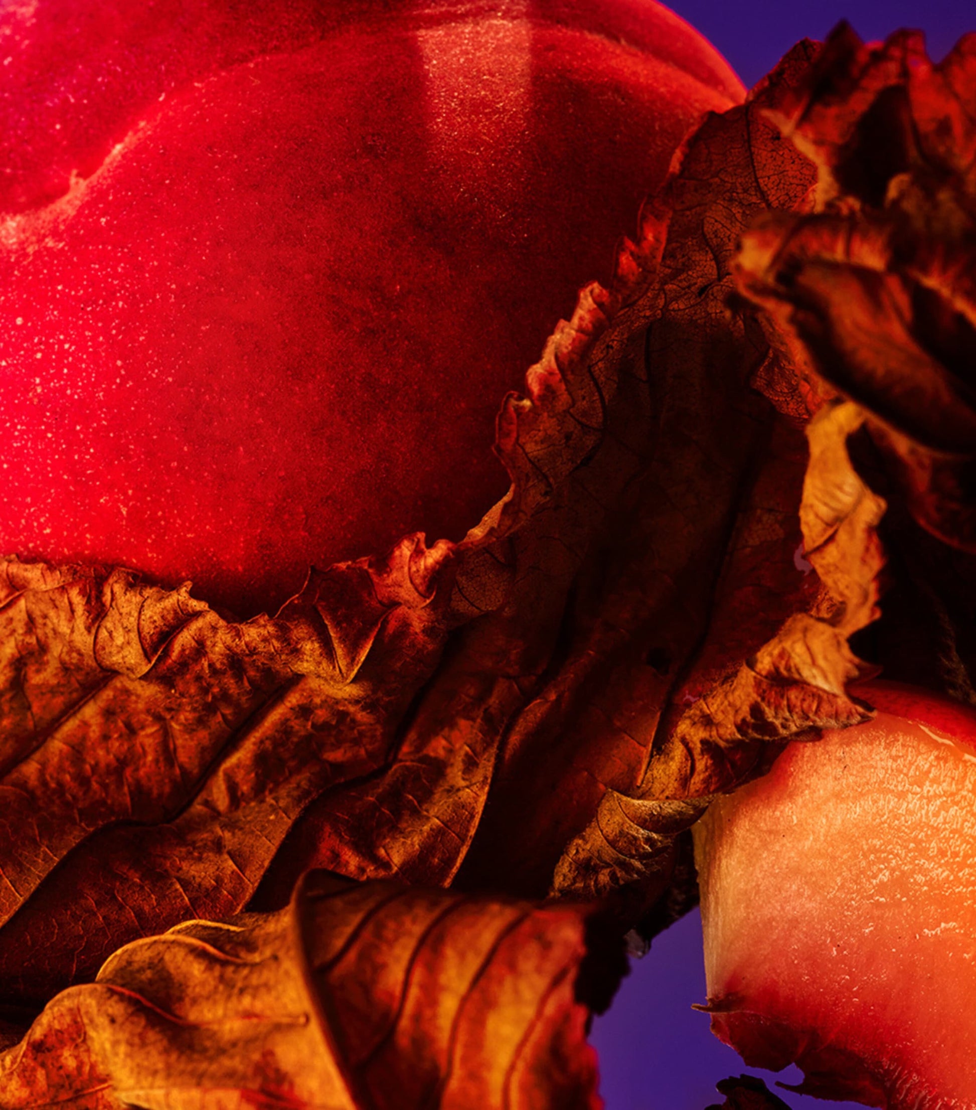 Allegra Fantasia Veneta Eau de Parfum (100ml)