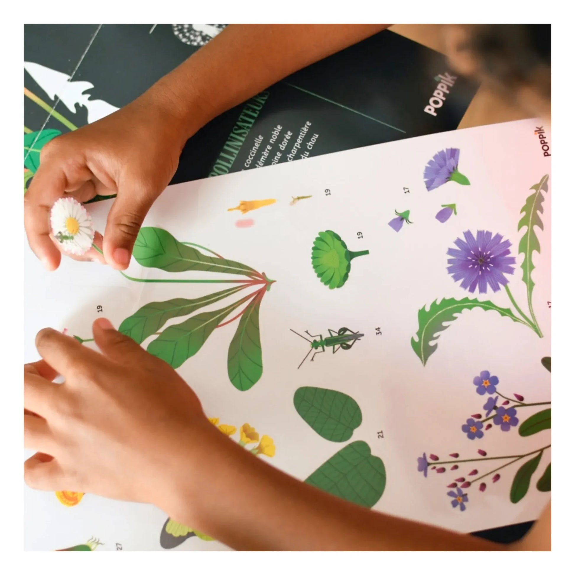 Poppik - Botanical Sticker Poster