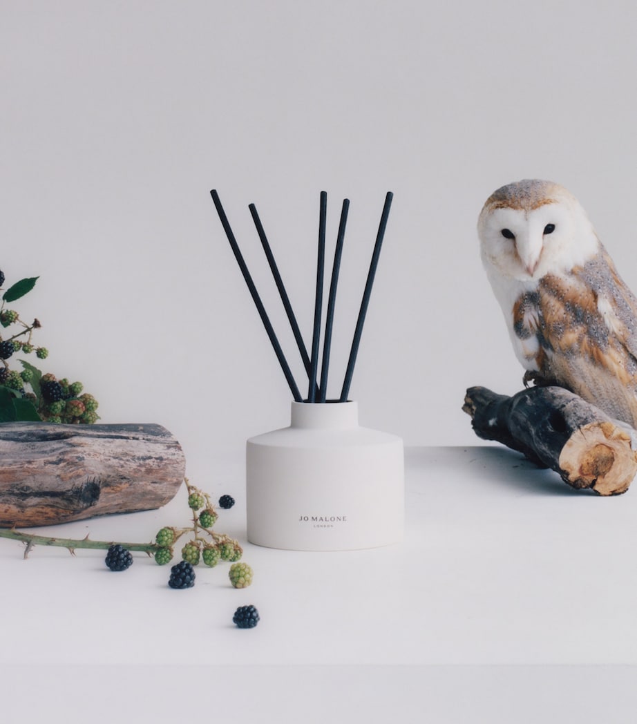 Wild Berry & Bramble Townhouse Diffuser (750ml)