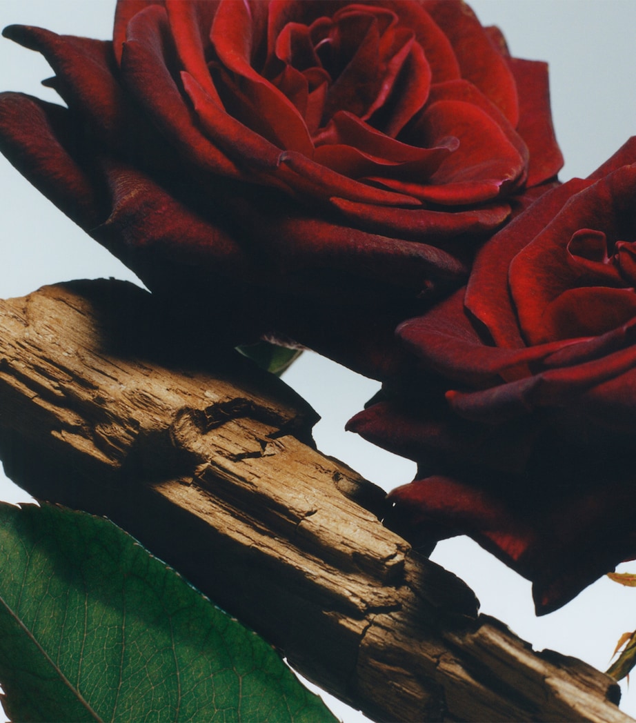 Velvet Rose & Oud Body Crème (175ml)