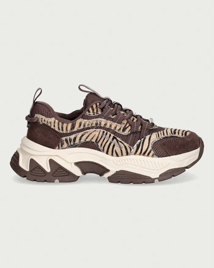 Steve Madden Animates-LE kadın spor ayakkabı