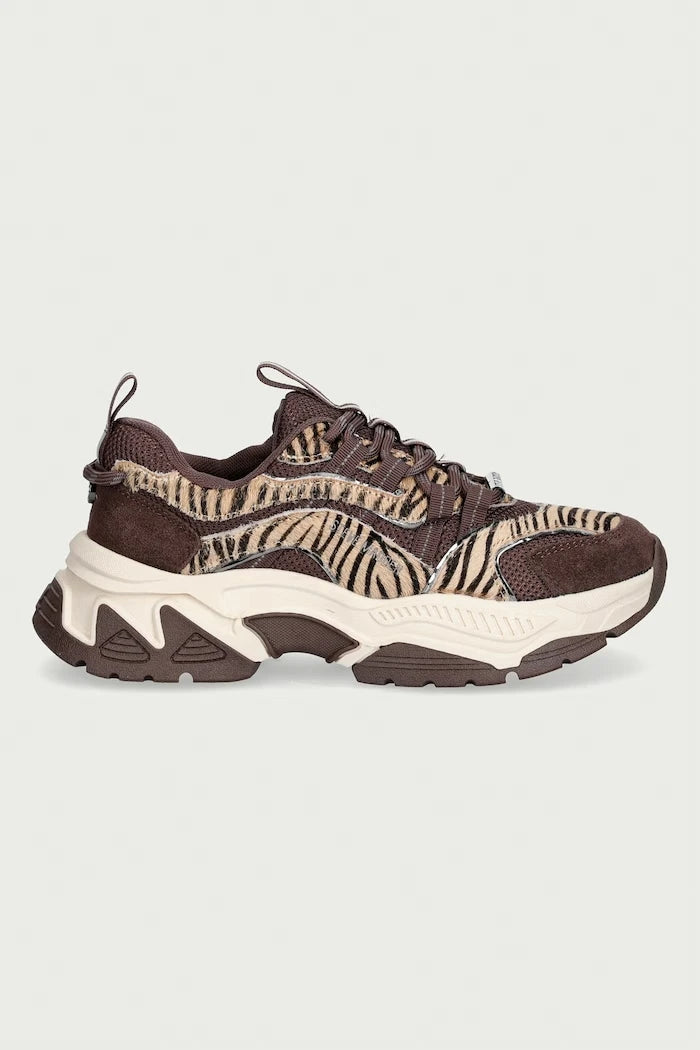 Steve Madden Animates-LE kadın spor ayakkabı