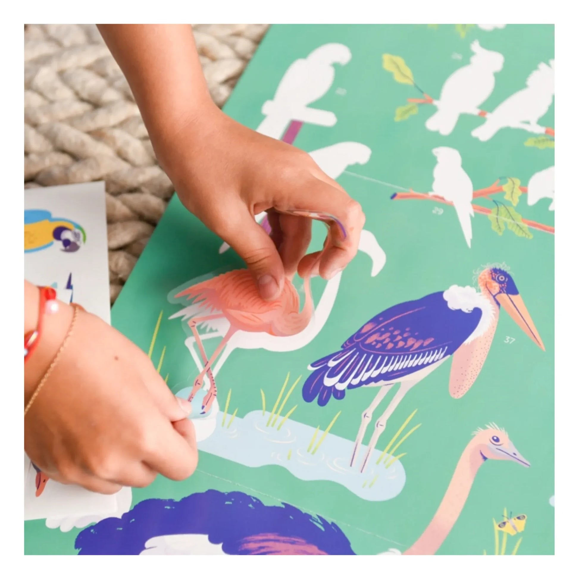 Poppik - Bird Poster and Stickers