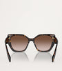 Brown Acetate PR 19ZS Sunglasses