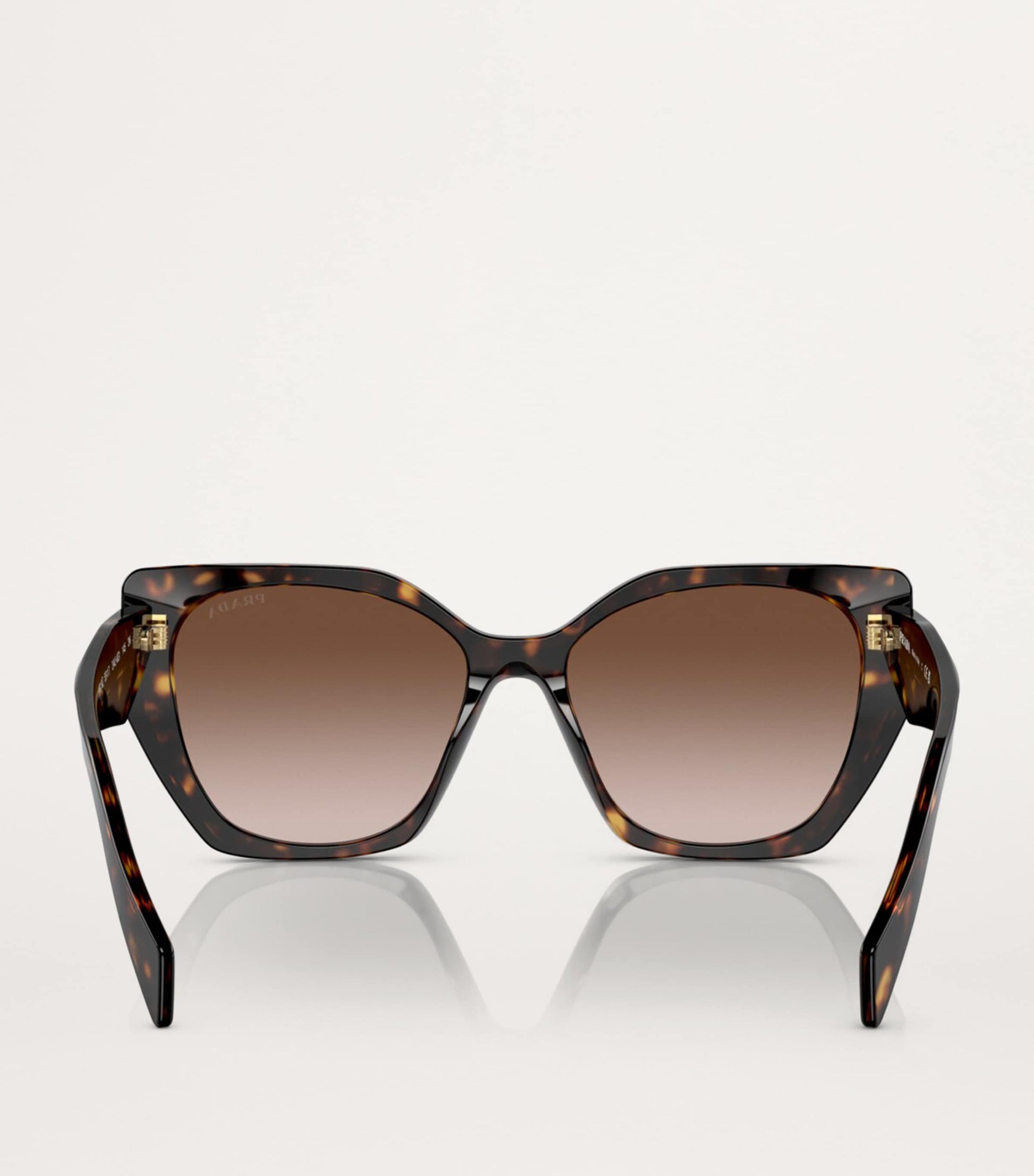 Brown Acetate PR 19ZS Sunglasses