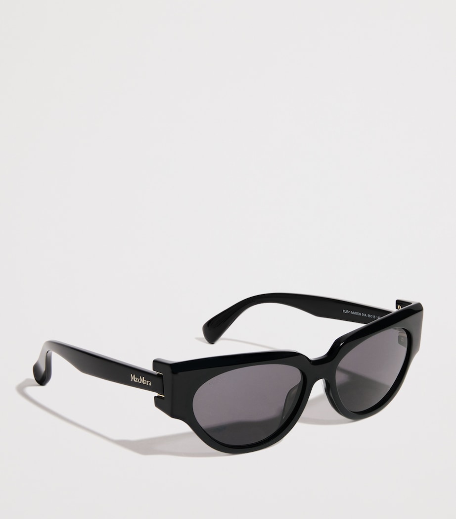 Max Mara Black Acetate Oval CLIP1 Sunglasses