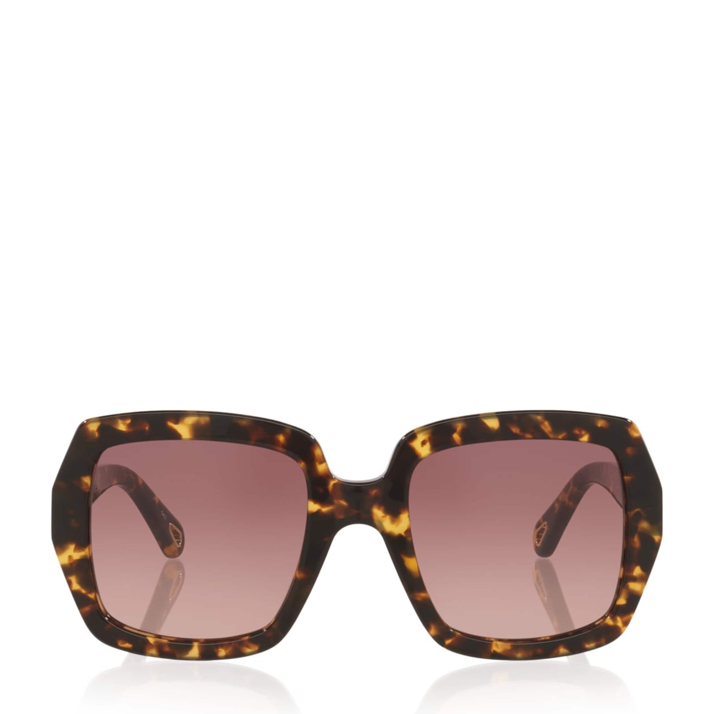 Brown CH0301S Rectangle Sunglasses