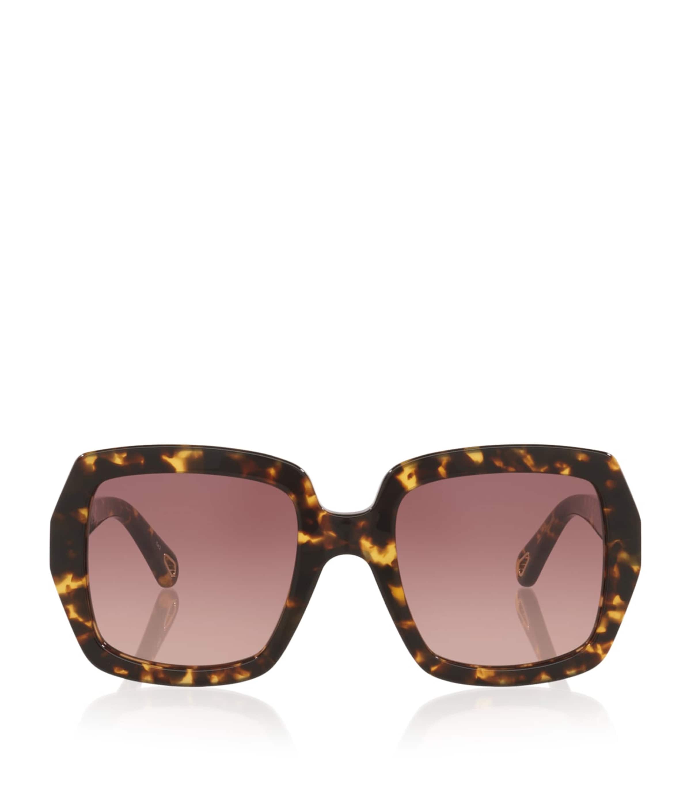 Brown CH0301S Rectangle Sunglasses