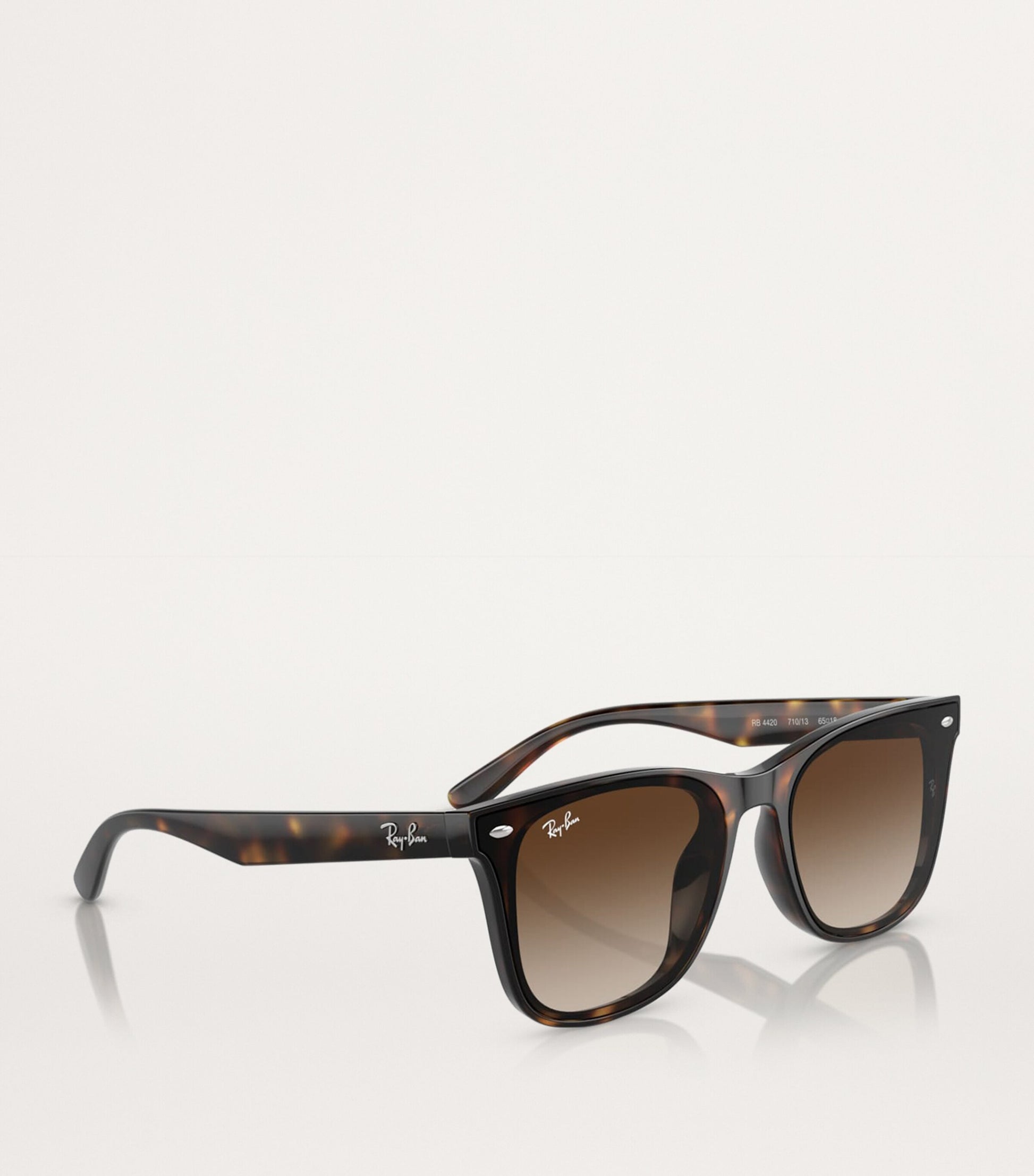 Injected RB4420 Sunglasses