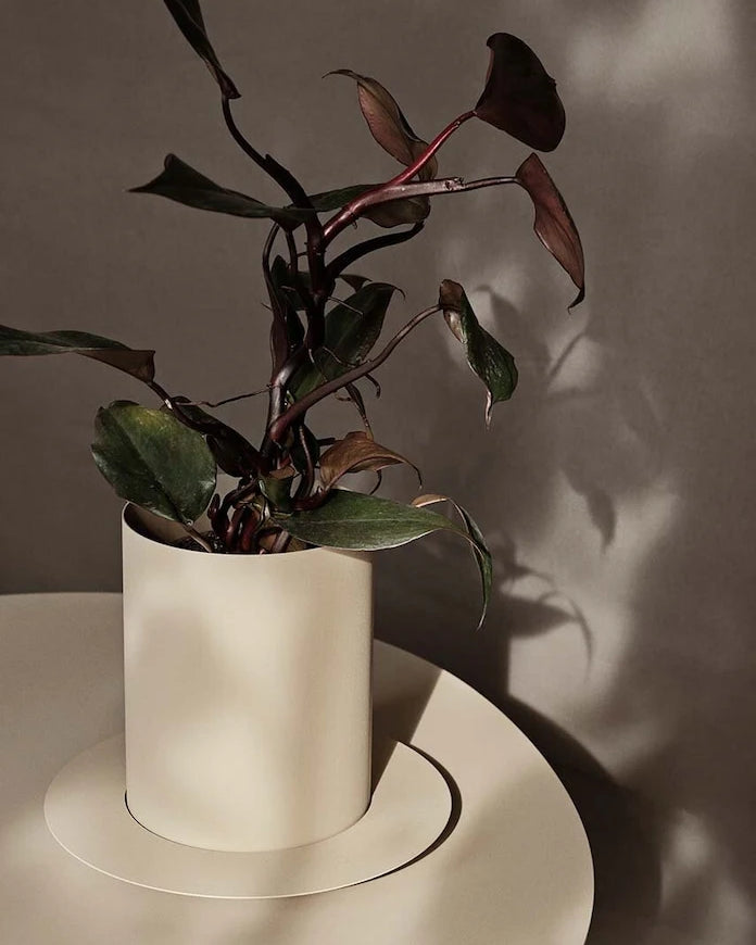ferm LIVING Auran Saksı S