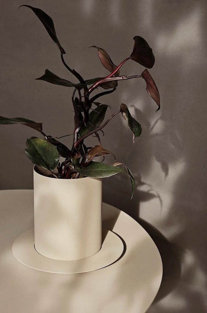 ferm LIVING Auran Saksı S