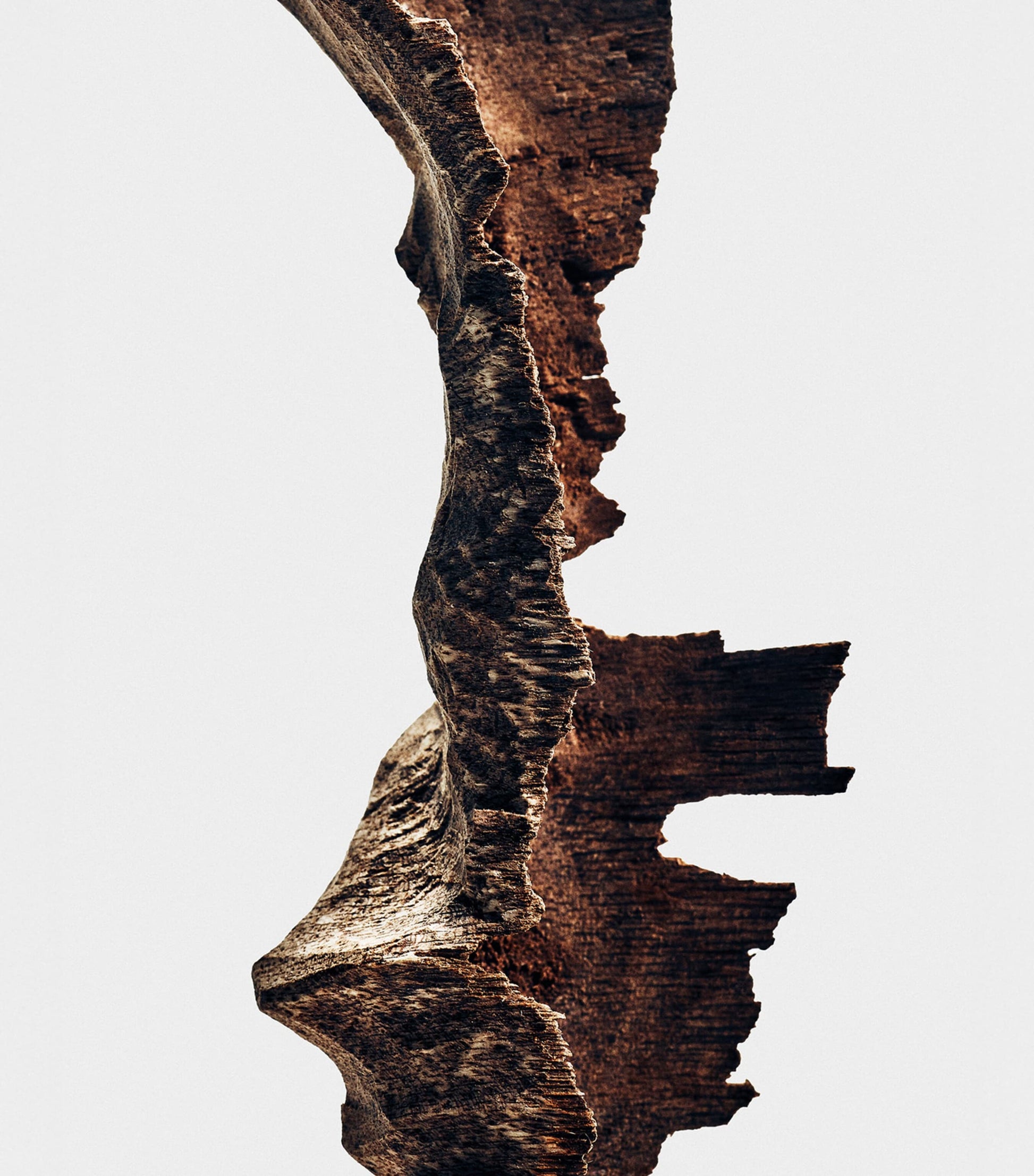 Bittersweet Oud Eau de Parfum (100ml)