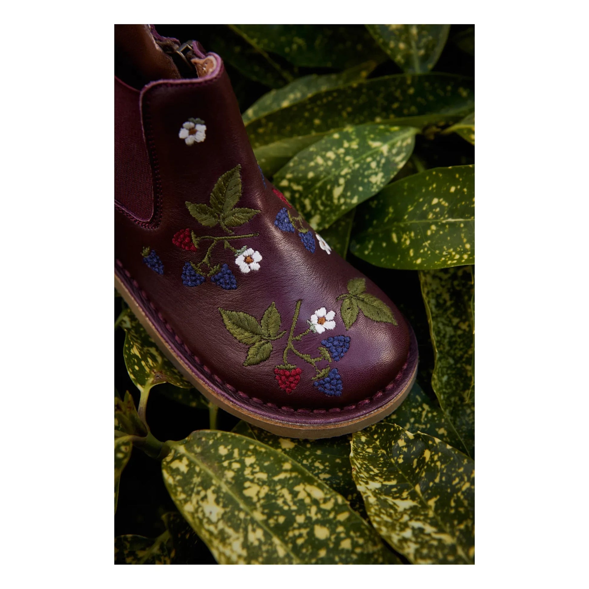 Petit Nord - Zip Ankle Boots - Uniqua Collection | Plum