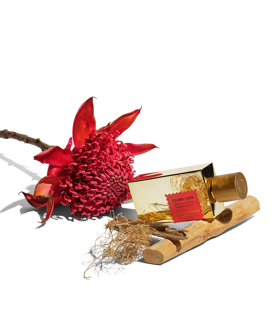 Island Lush Pure Perfume (100ml)