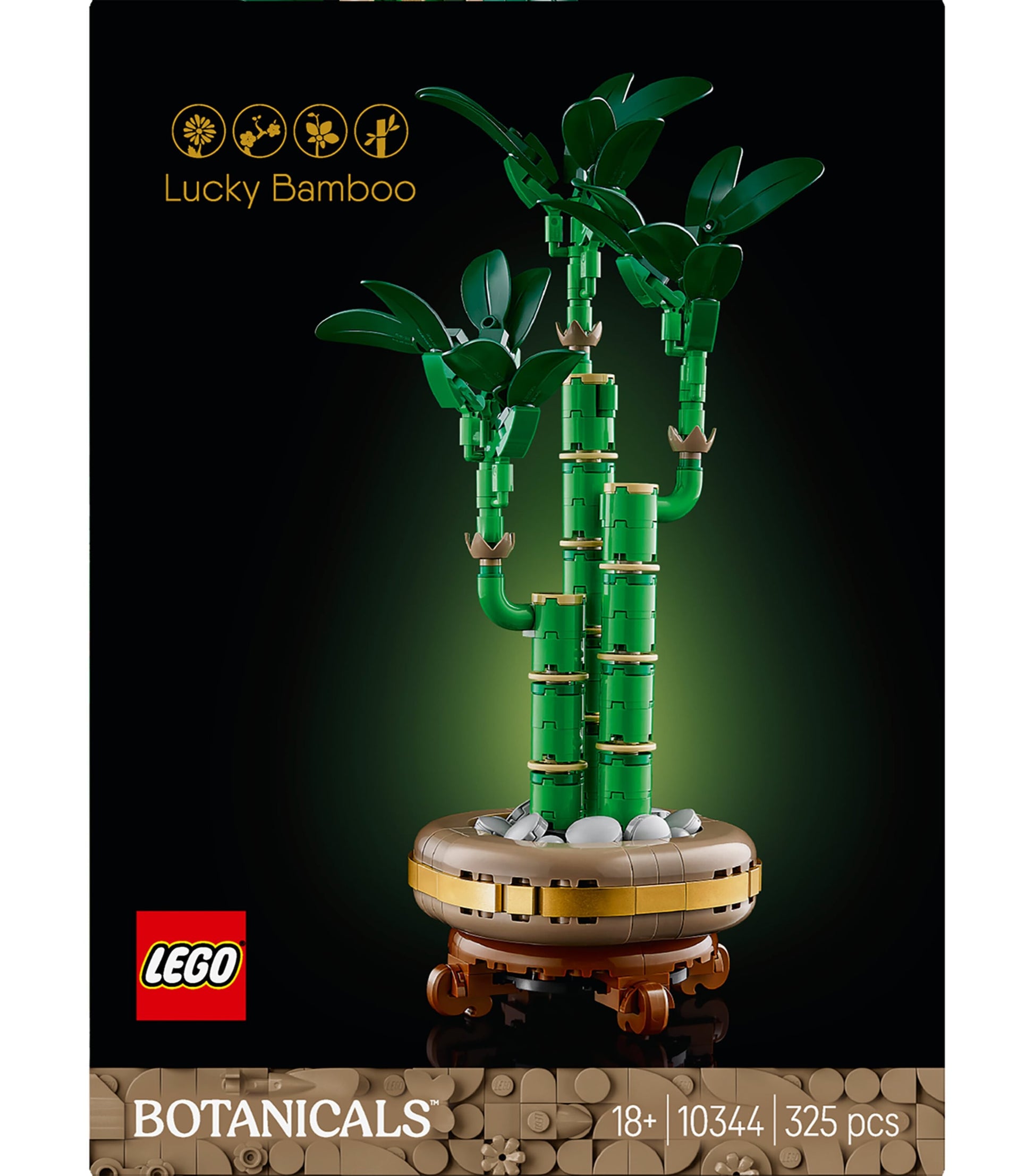 Botanical Collection Lucky Bamboo 10344