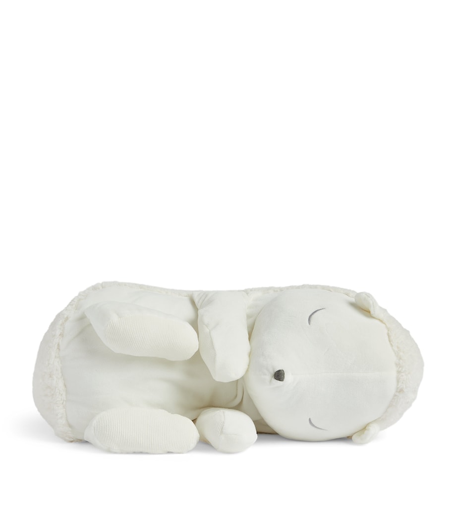 Leon The Hedgehog (60cm)