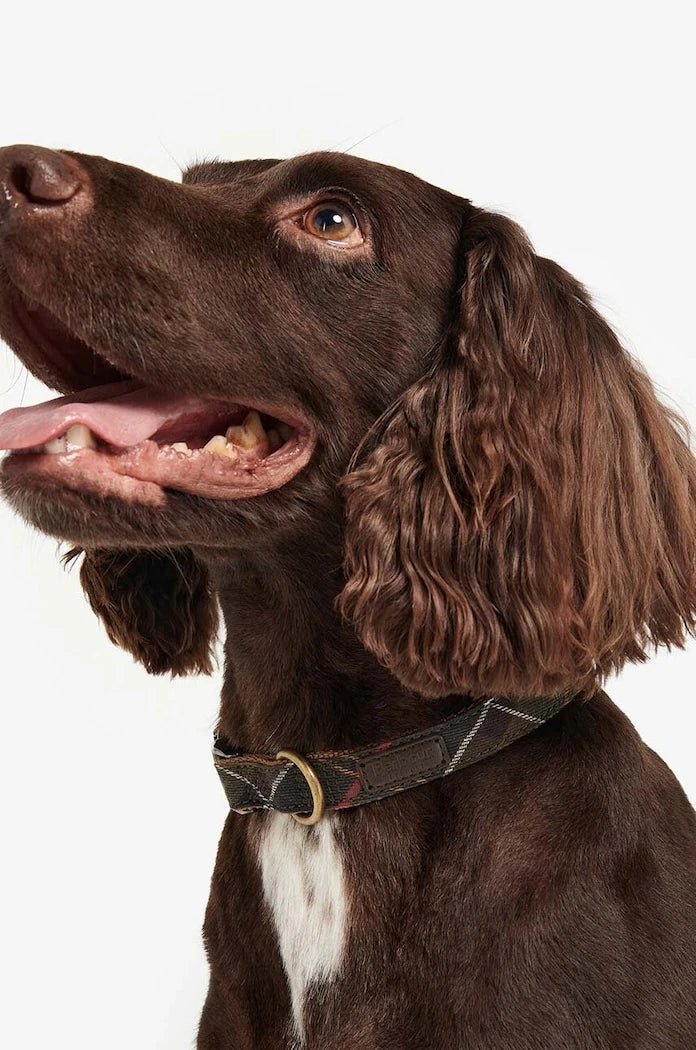 Нашийник за куче Barbour