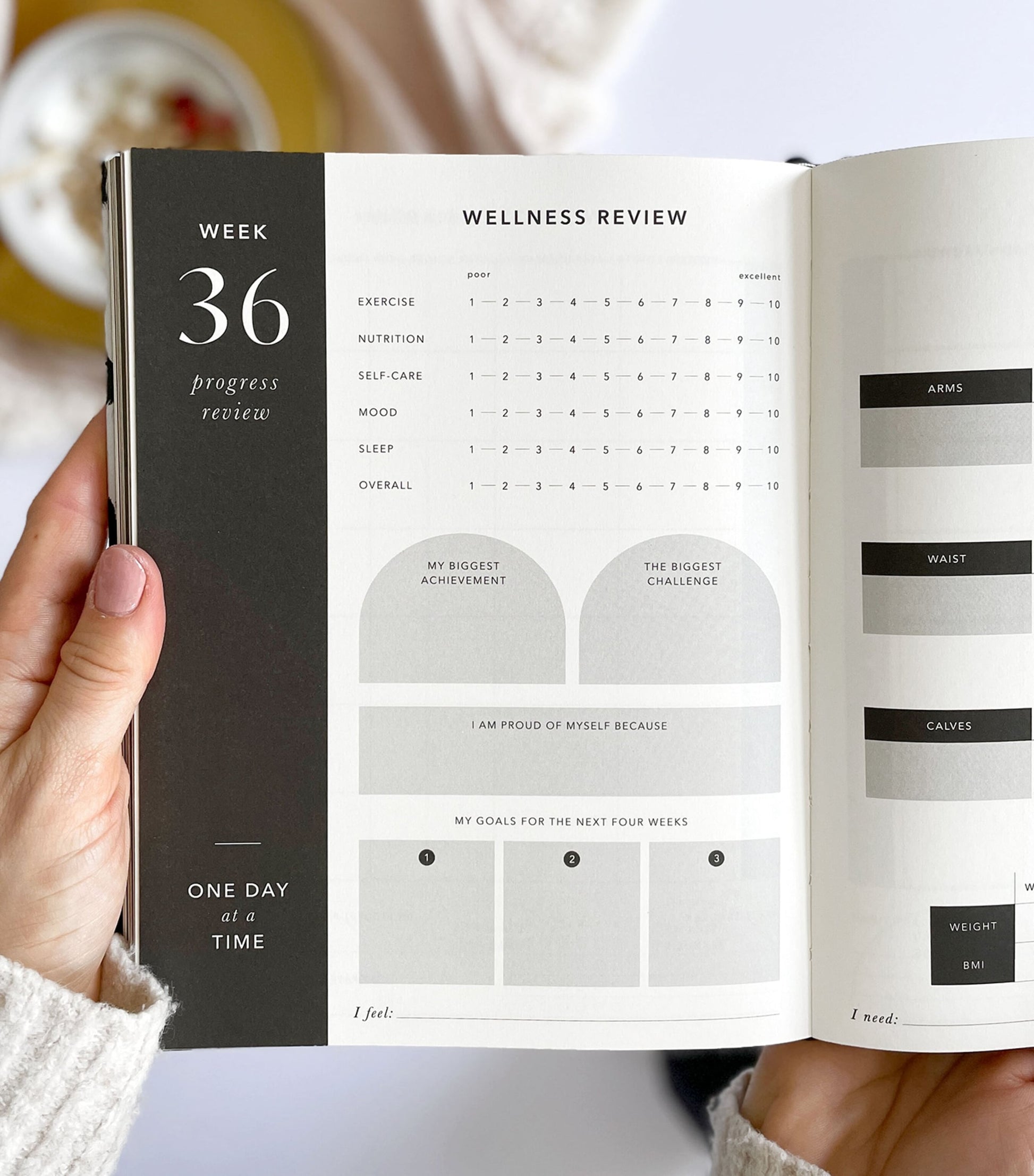 Blush and Gold Daily Fitness & Meal Planner