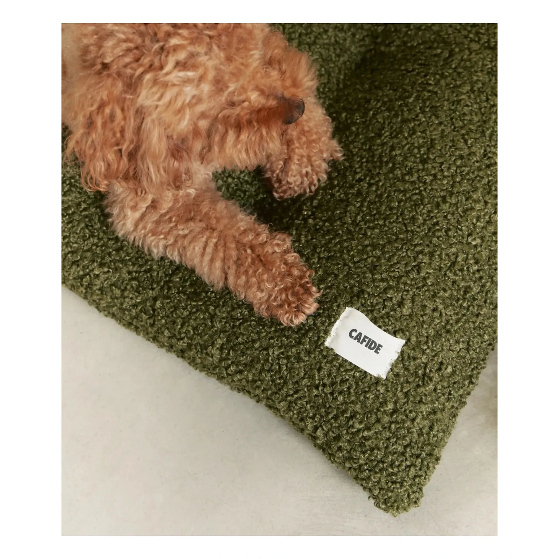 Cafide - Bela dog mattress | Green