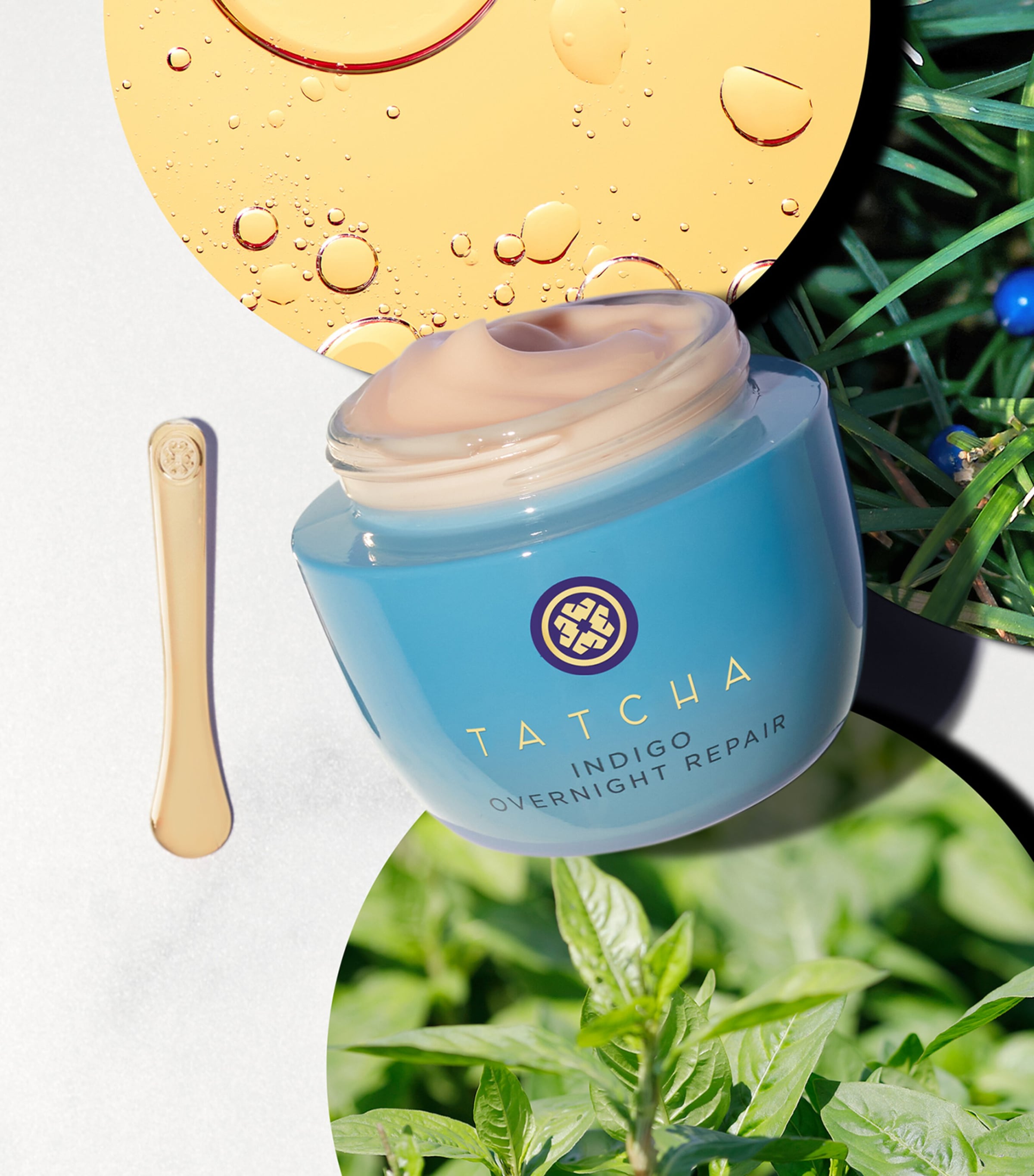 The Indigo Overnight Repair (50ml)