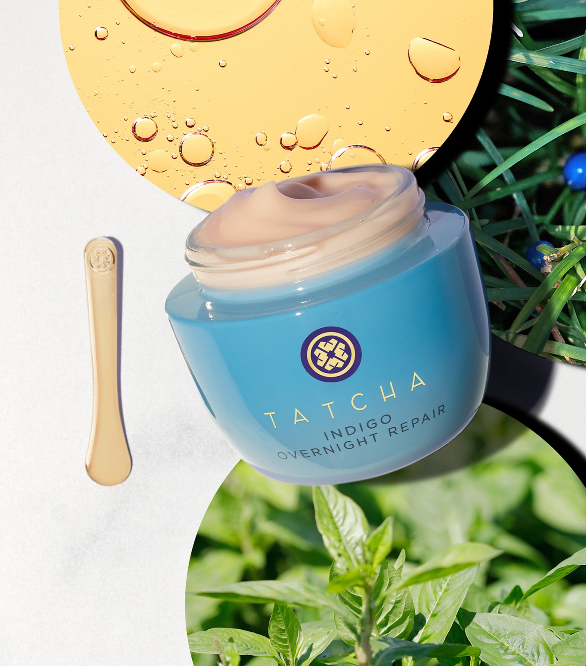 The Indigo Overnight Repair (50ml)