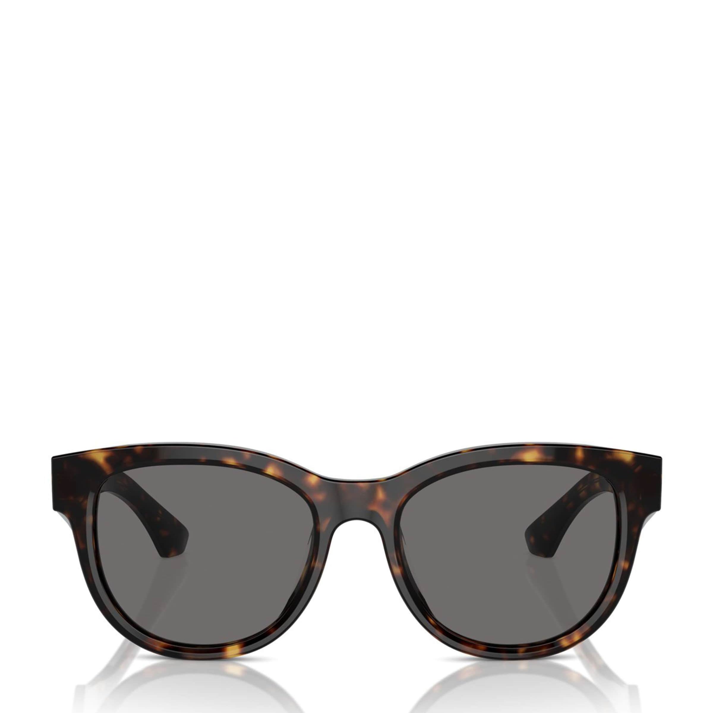 Brown Steel BE4432U Sunglasses