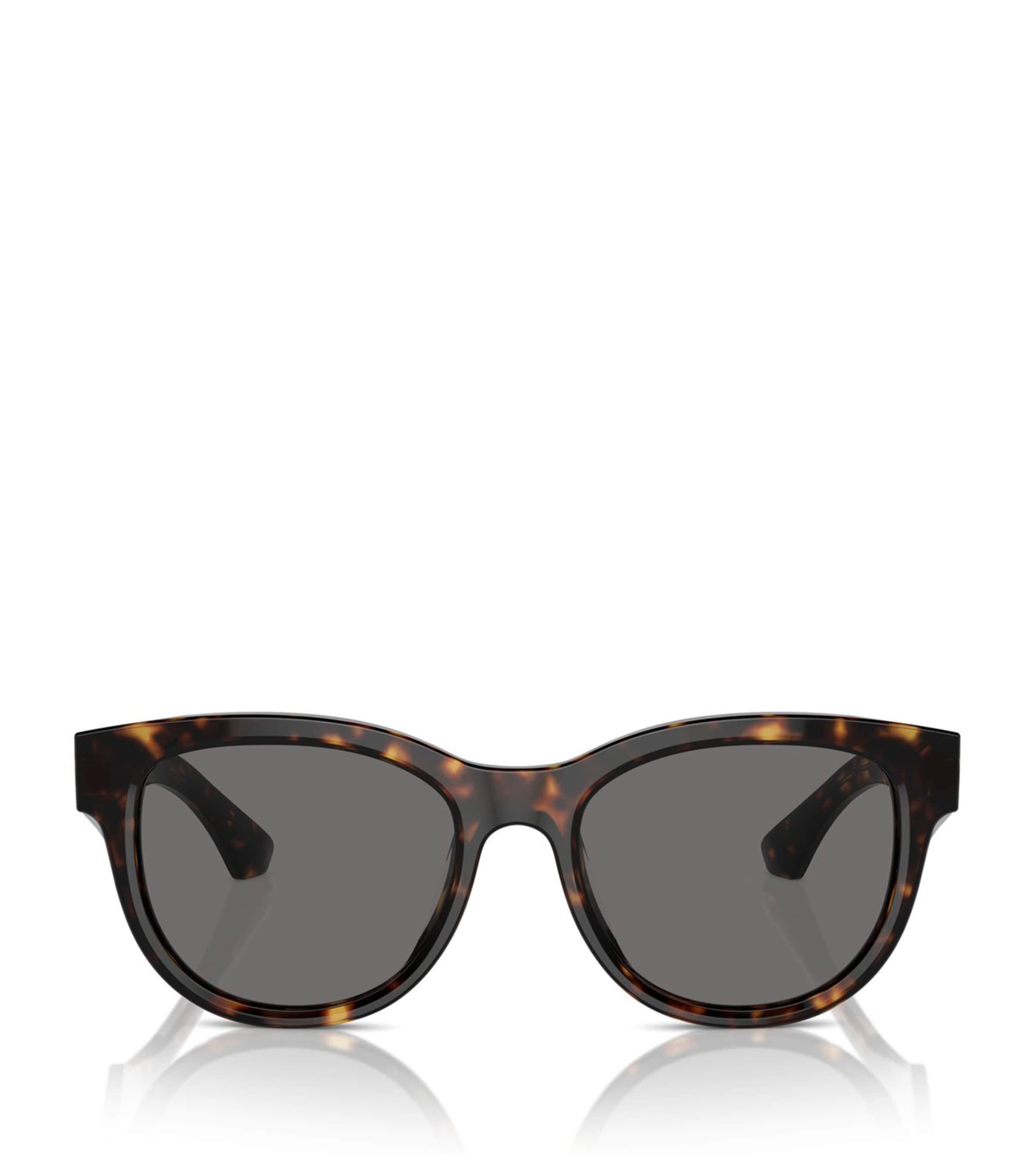 Brown Steel BE4432U Sunglasses