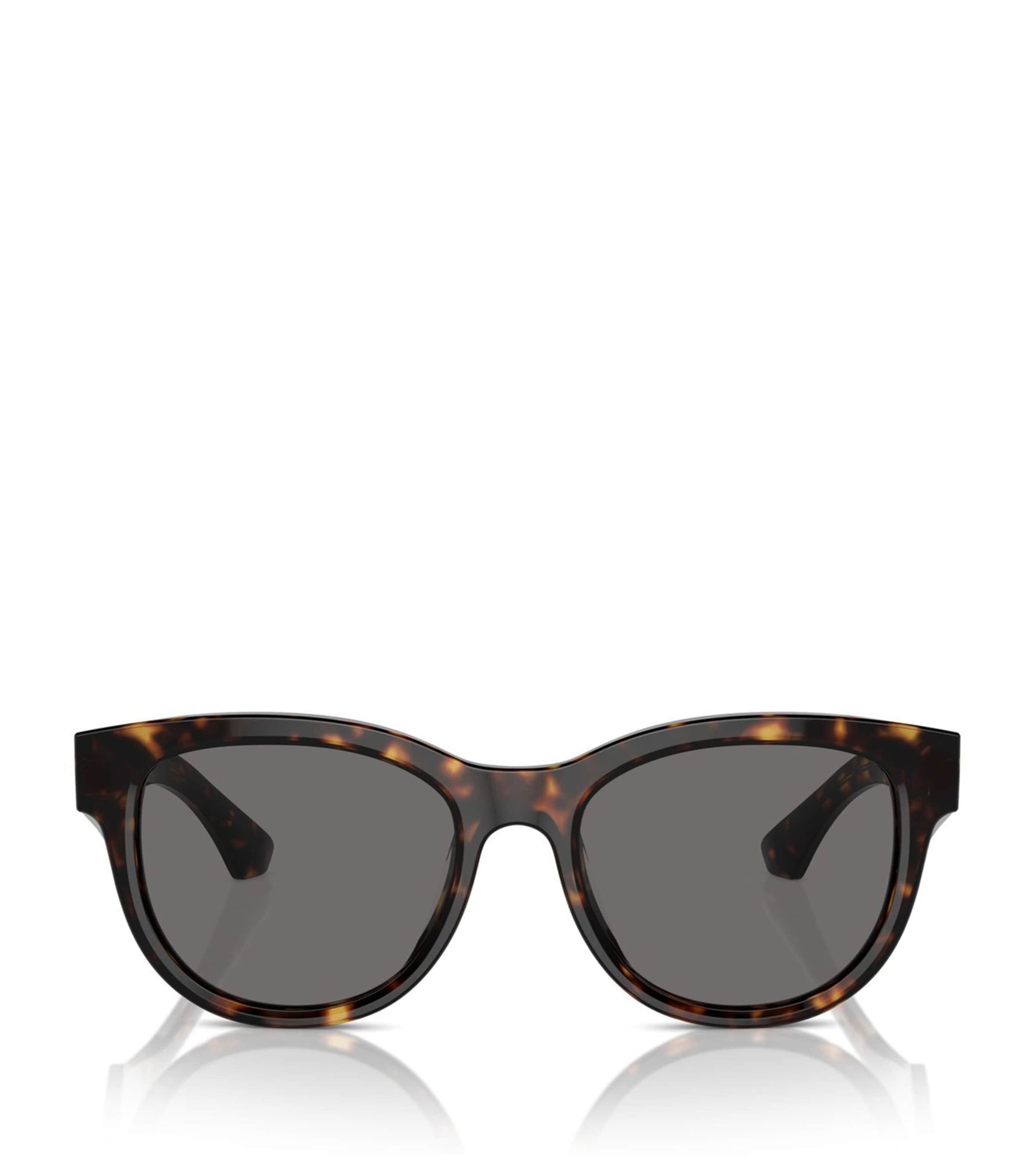 Brown Steel BE4432U Sunglasses