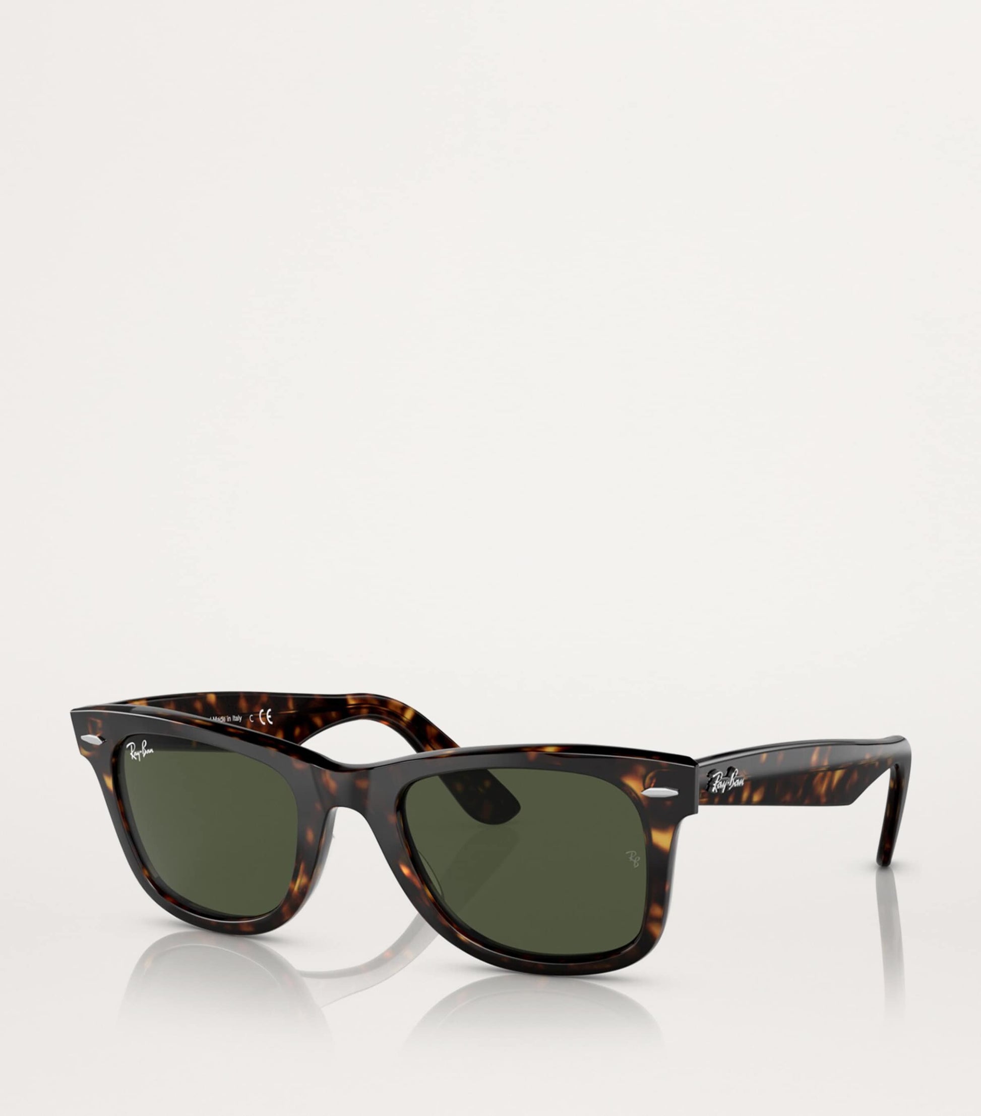 Acetate Wayfarer Sunglasses
