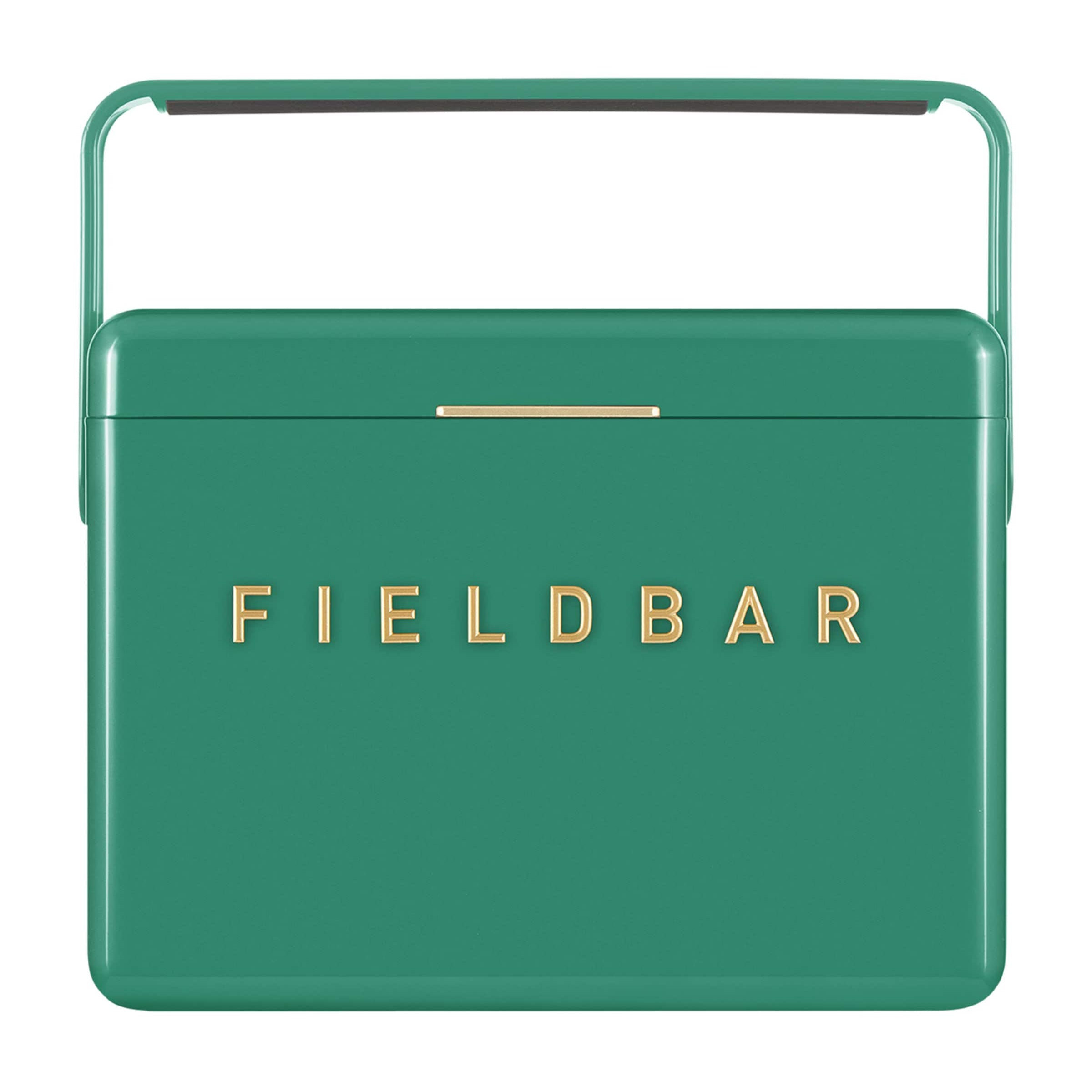 Mini Bar Cooler Box with Leather Sling (4L)