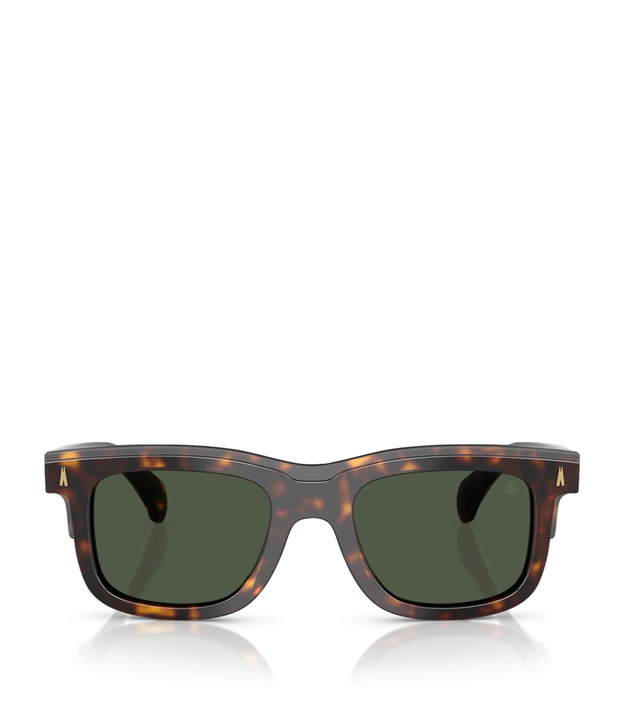 Moncler Brown Acetate Claro ME6004 Sunglasses
