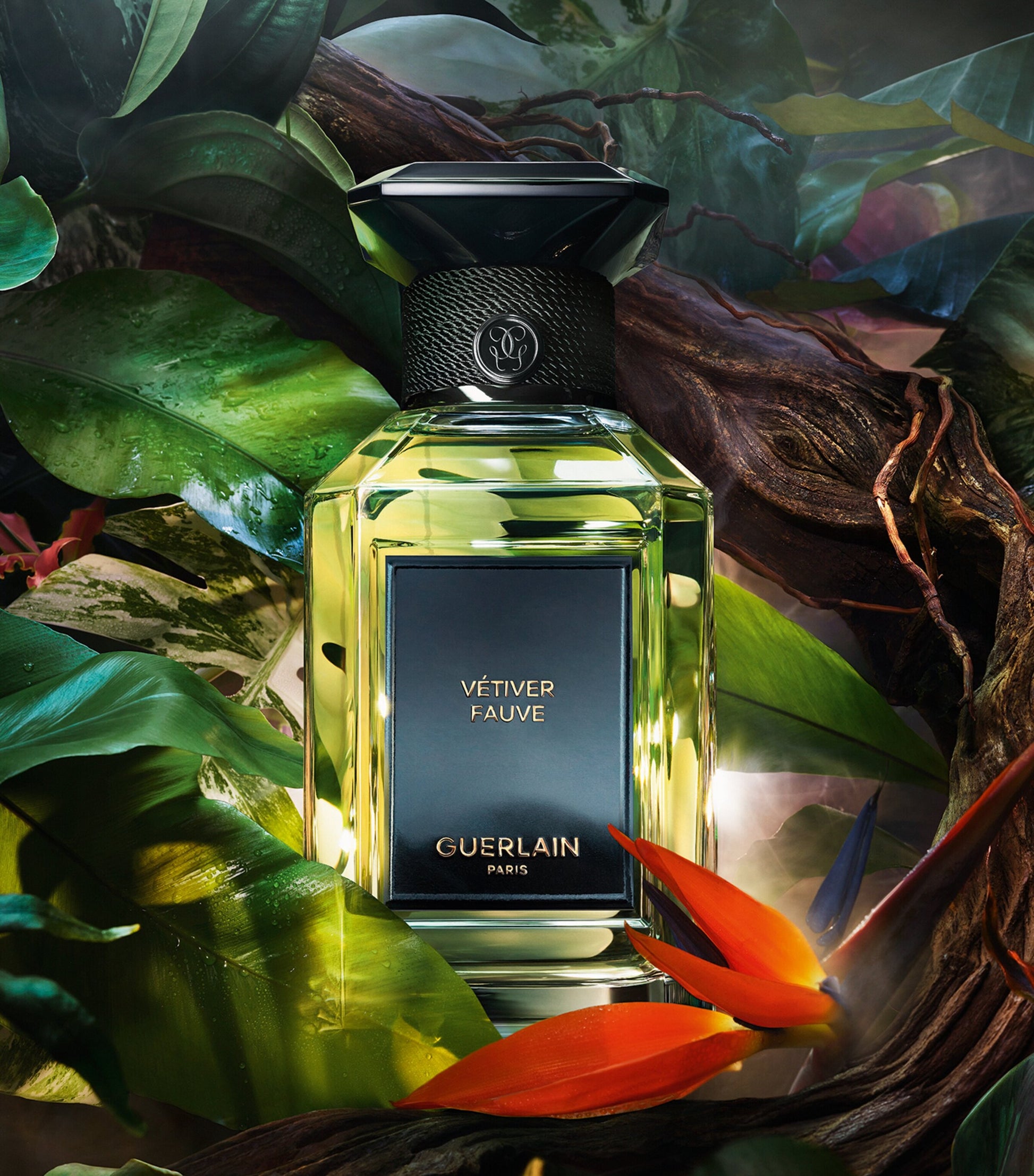 Vétiver Fauve Eau de Parfum (200ml)