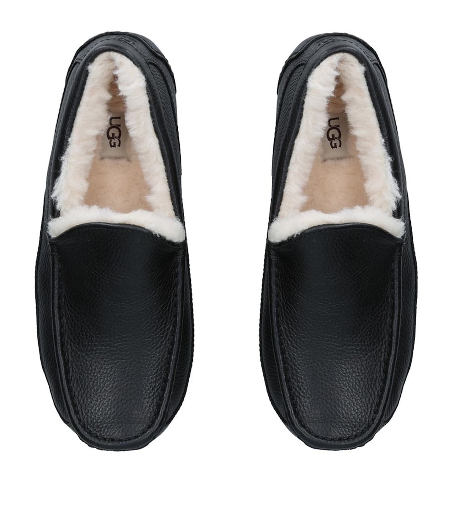 Ascot Slippers