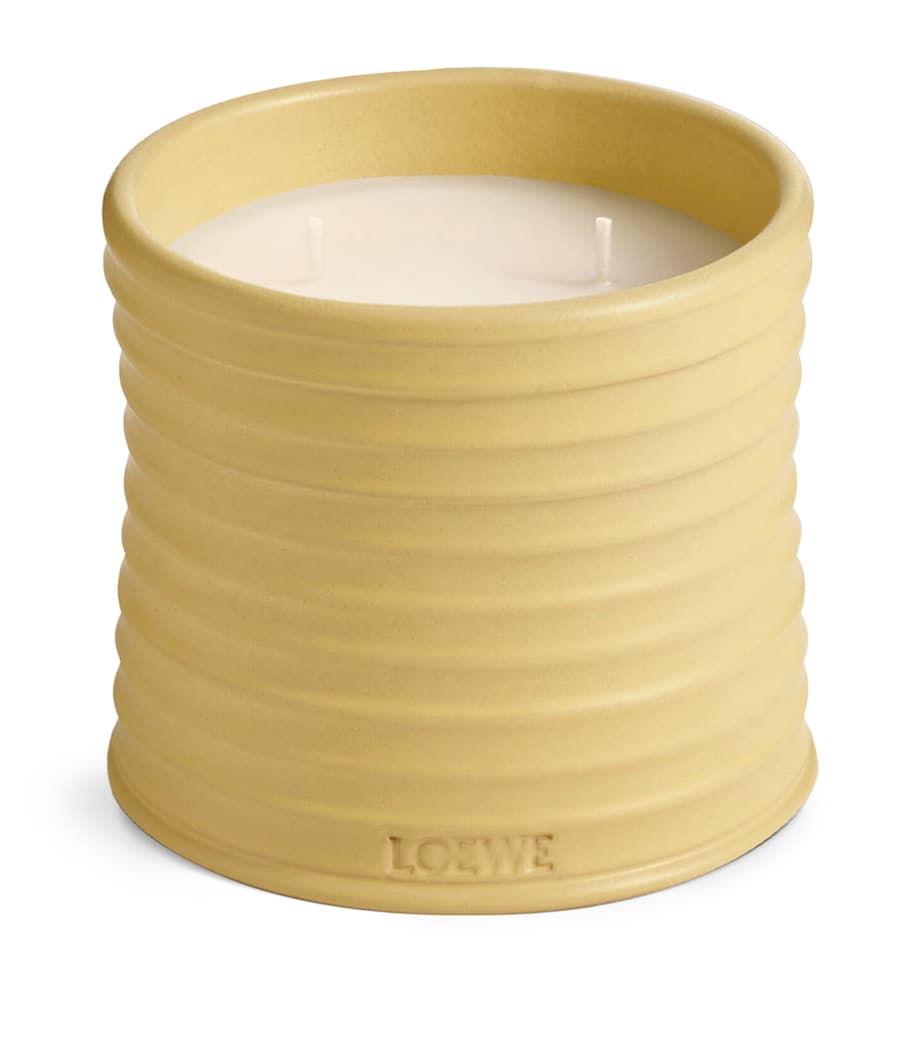 LOEWE Medium Honeysuckle Scented Candle