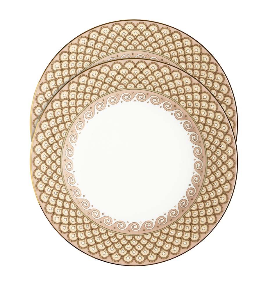 Set of 2 Odysseus Dinner Plates (26cm)